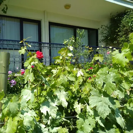 Mimas Garden Apartmán Karaburun (Izmir)