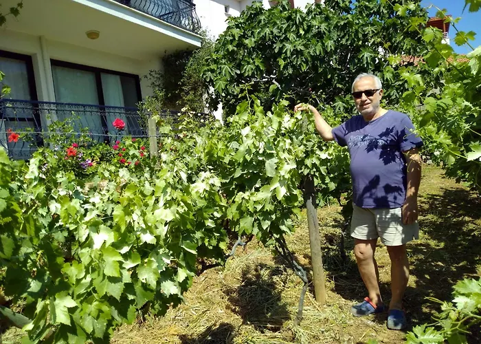 Mimas Garden *