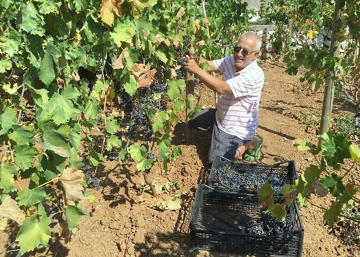 Mimas Garden Apartmán *