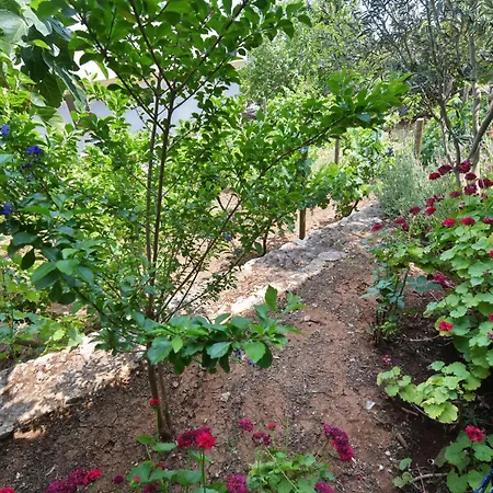 Mimas Garden Apartment Karaburun (Izmir)