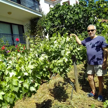 Mimas Garden *
