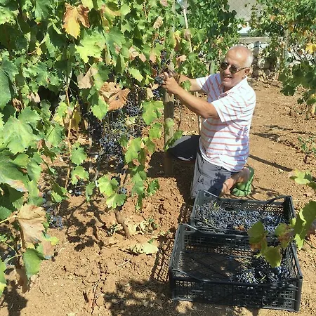 Mimas Garden Διαμέρισμα *